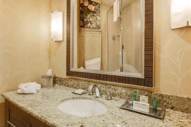 غرفة ديلوكس بسرير كينج، Hilton Branson Convention Center 5/10