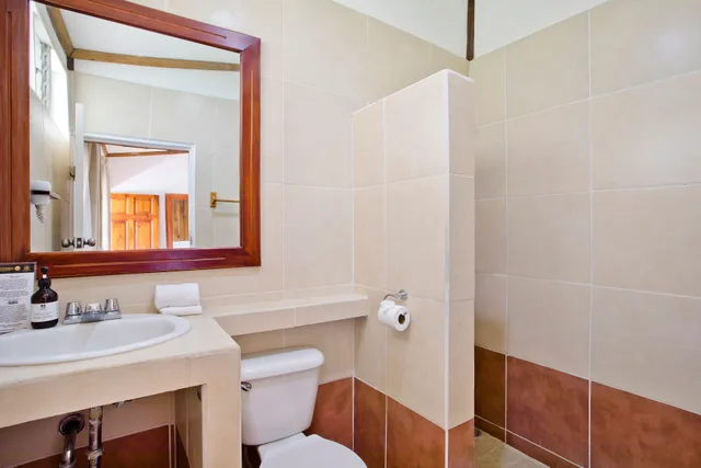 غرفة قياسية، Hacienda Guachipelin Hotel 4/4