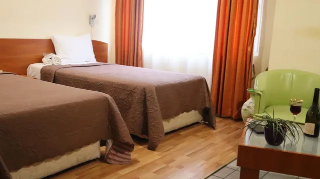 غرفة ديلوكس بسريرين منفصلين، Palitra Family Hotel 3/9