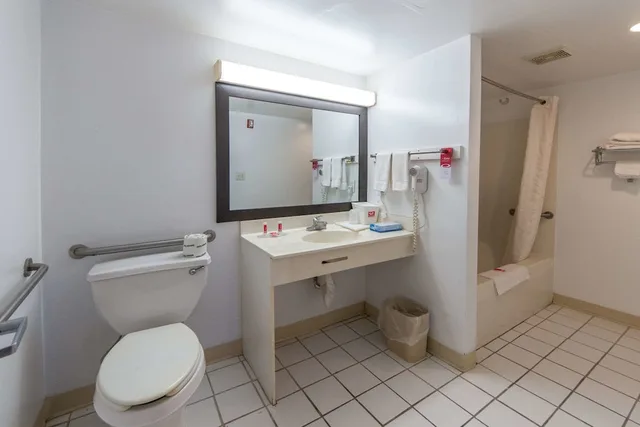 غرفة قياسية بسريرين كينج للمدخنين، Econo Lodge Ruther Glen 6/6