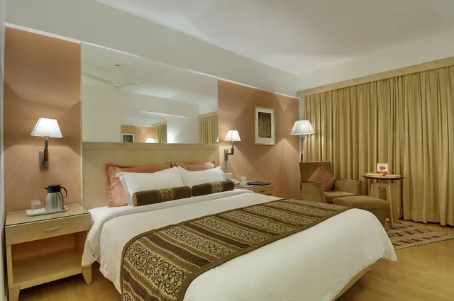 غرفة ديلوكس مفردة، Pride Plaza Hotel Ahmedabad 3/3