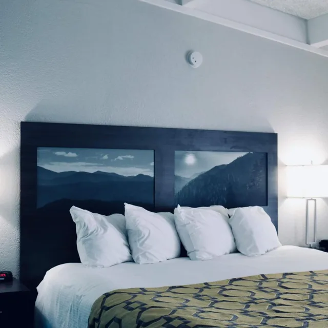 جناح بسرير كينج لذوي الإعاقة، Baymont by Wyndham Cookeville 1/1