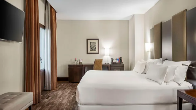 غرفة بريميوم مفردة بسرير مزدوج، Nh Collection Granada Victoria 3/9