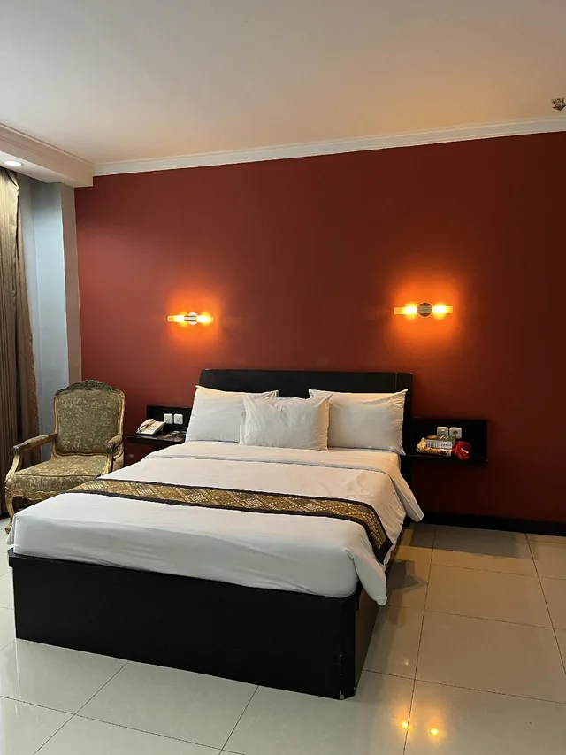 غرفة تنفيذية، RIEZ PALACE HOTEL 1/2