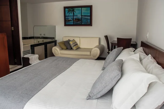 جناح بسرير كينج بجاكوزي، Nogal Suite Hotel Pasto 9/9