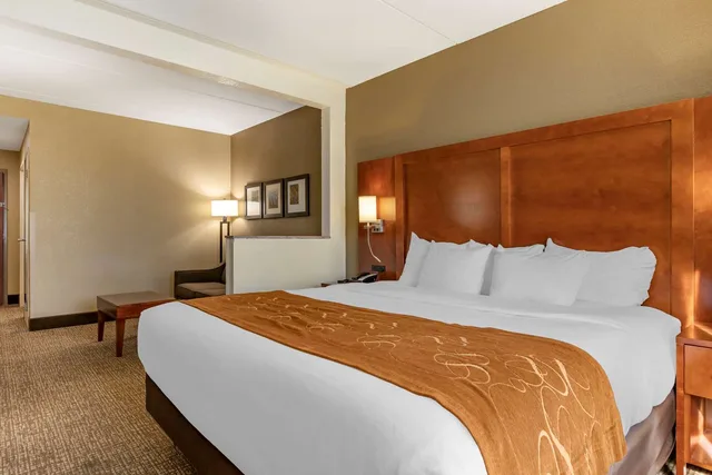 Upgrade, Suite, King Bed، Comfort Suites Grand Rapids South 3/3