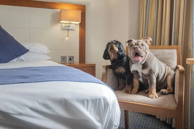 غرفة قياسية بسرير مزدوج، Riverside Hotel 6/8