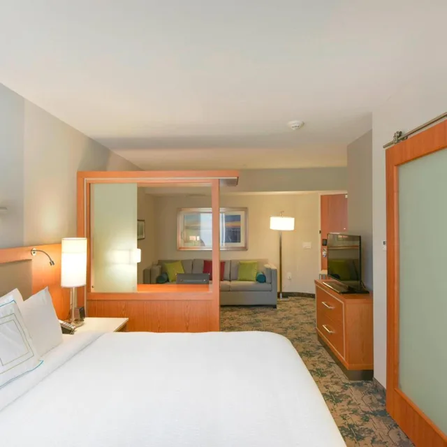 جناح بسرير كينج مع سرير سحّاب إضافي مع أريكة بحوض استحمام لذوي الإعاقة، Springhill Suites Wilmington Mayfaire 1/8