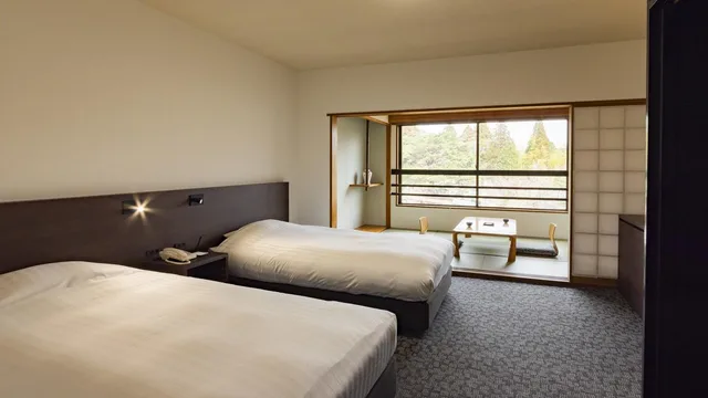 Semi Western, Style، ARDEN HOTEL ASO 1/1