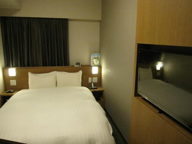 Moderate, Double Bed, Smoking، Dormy Inn Akihabara 2/9
