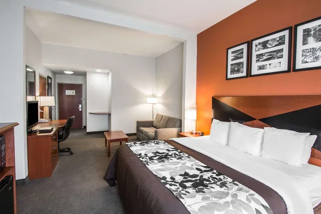 جناح بسرير كينج مع أريكة لذوي الإعاقة، Sleep Inn & Suites Palatka North 1/8