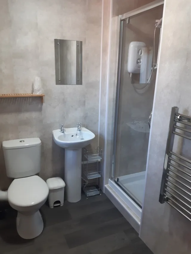غرفة قياسية مفردة بسرير فردي، Wellington Hotel 1/1