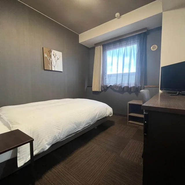 غرفة قياسية مفردة للمدخنين، Hotel Route Inn Tokyo Ikebukuro 1/5