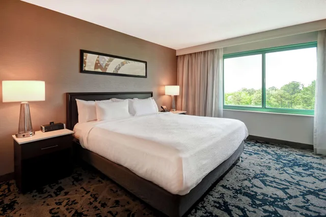 2 Rooms, Wellness, Premium, Suite, King Bed، Embassy Suites by Hilton Raleigh Durham Research Triangle 2/2
