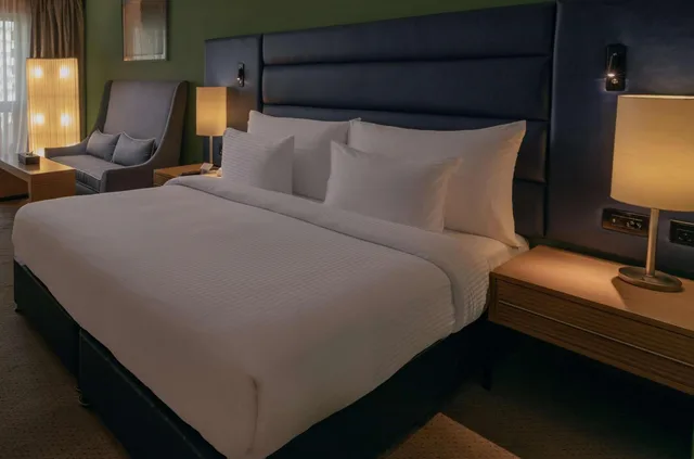 غرفة تنفيذية، Radisson Blu Heliopolis 7/10