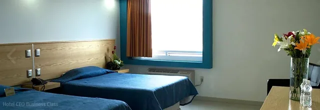 غرفة تنفيذية بسريرين مزدوجين، CEO Hotel Business Class 2/2