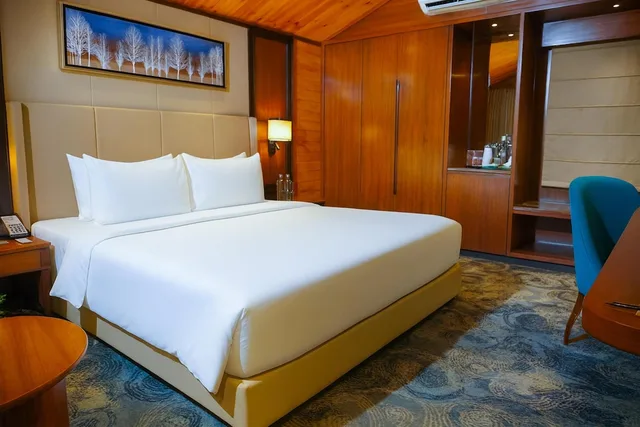 Standard, King Bed, Valley View، Radisson Blu Resort Dharamshala 3/10