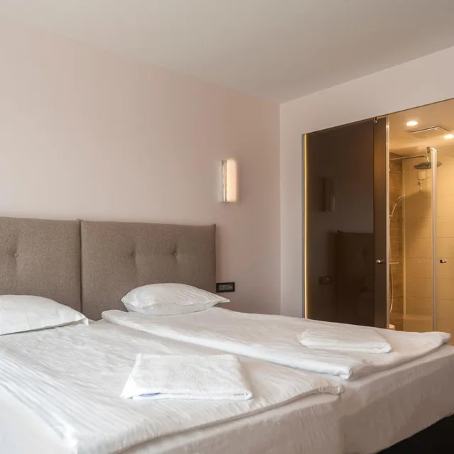 غرفة بسرير مزدوج أو سريرين منفصلين مع سرير إضافي، Amiral Hotel 2/10