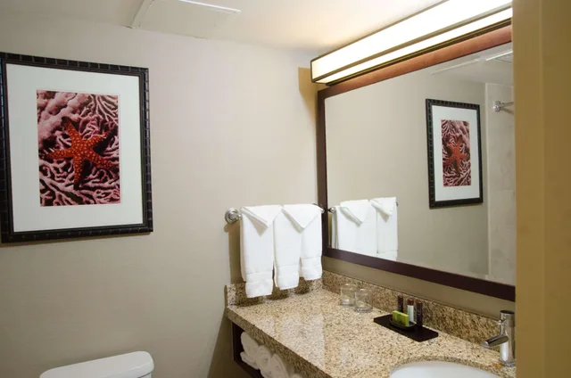استوديو بسرير كينج لذوي الإعاقة، Embassy Suites by Hilton West Palm Beach Central 9/10