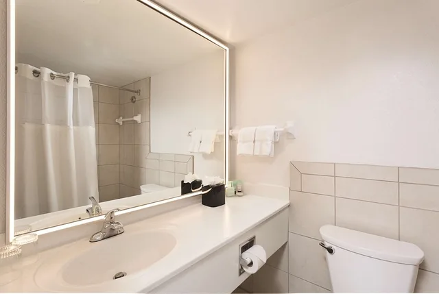 Resort, Studio, 2 Queen Beds، Sirata Beach Resort St Pete Beach 2/2