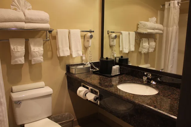 غرفة قياسية بسرير كينج، Best Western Sky Valley Inn 9/10