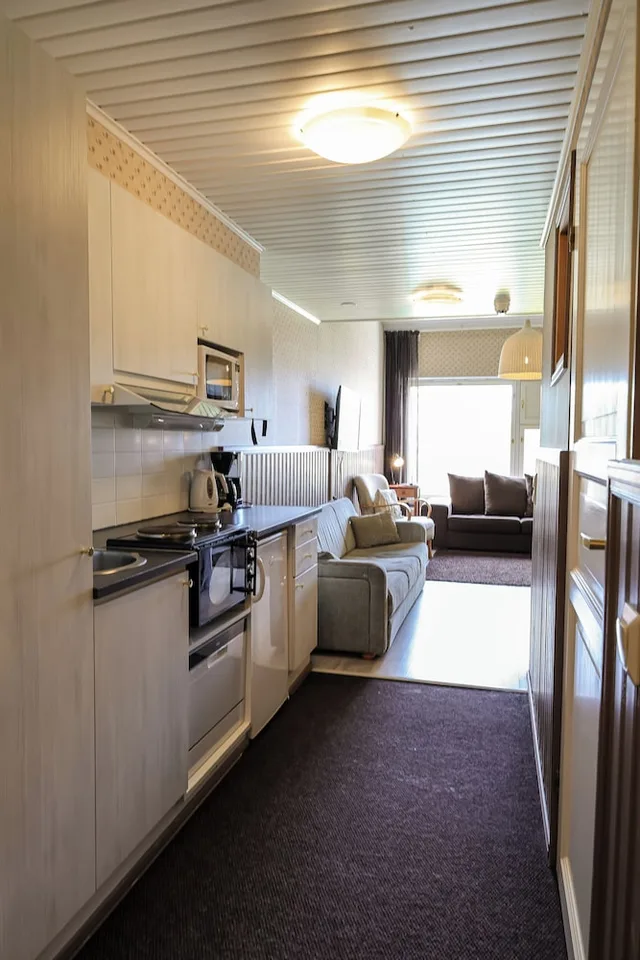 Apartment, 4 Beds, Sofa, Sauna، Hullu Poro Hotel 3/9
