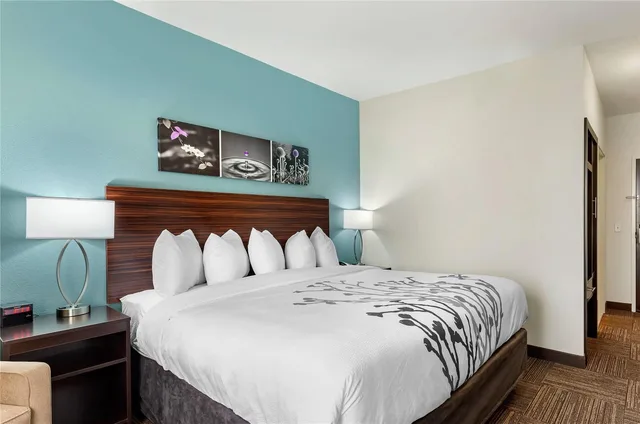 غرفة بسرير كينج، Sleep Inn Lancaster Dallas South 2/4