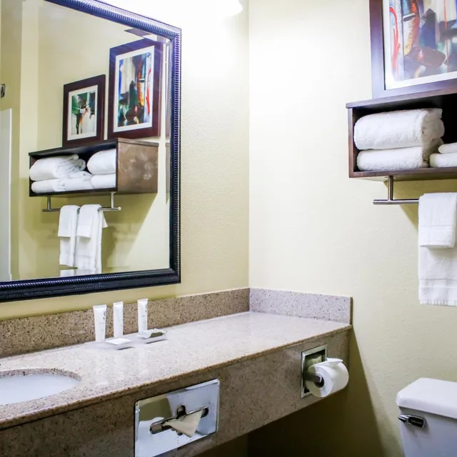 استوديو بسرير كينج، Country Inn Suites By Radisson Richmond West At I 64 Va 3/4