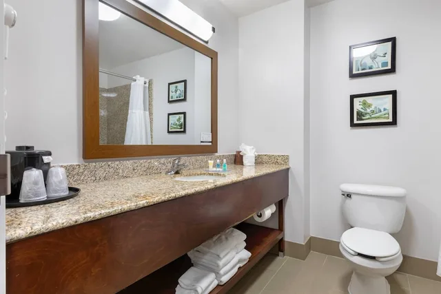 Room, 2 Queen Beds, Sofa, Comfort Suites Dfw N Grapevine 6/7