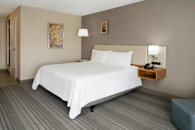غرفة بسرير كينج بحوض استحمام لذوي الإعاقة، Hilton Garden Inn Roseville 2/4