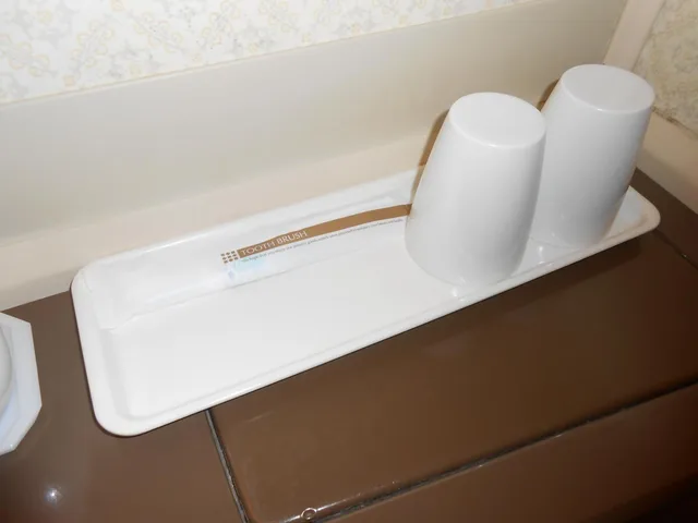 غرفة ثلاثية، Select Inn Fujisan Gotemba 8/8