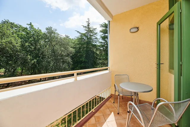 Superior, Twin Beds, Sofa, Balcony, Park Side، Hotel Aurora Plava Laguna 10/10