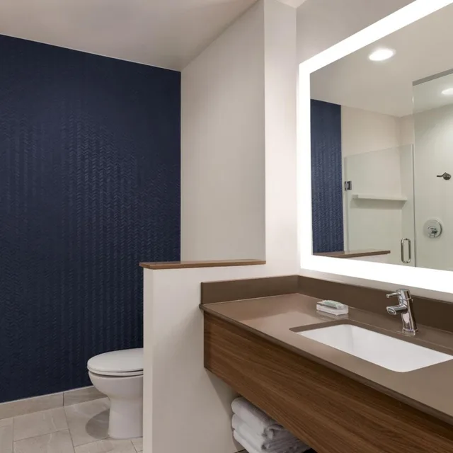 جناح تنفيذي بسرير كينج مع أريكة، Fairfield Inn & Suites by Marriott Bonita Springs 6/9