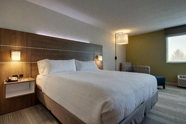 Suite, King Bed, Accessible, Holiday Inn Express Suites Wapakoneta 3/3