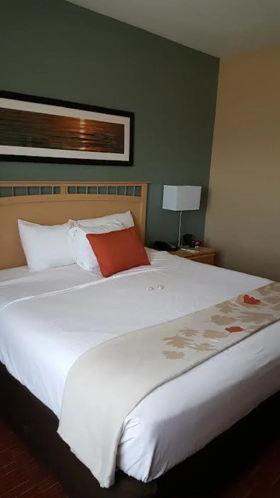 1 Bedroom, Suite, King Bed, Hawthorn Suites by Wyndham Corpus Christi 1/3
