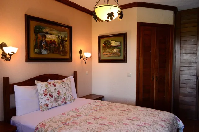 غرفة قياسية بسرير مزدوج، Ada Bacchus Hotel 7/10