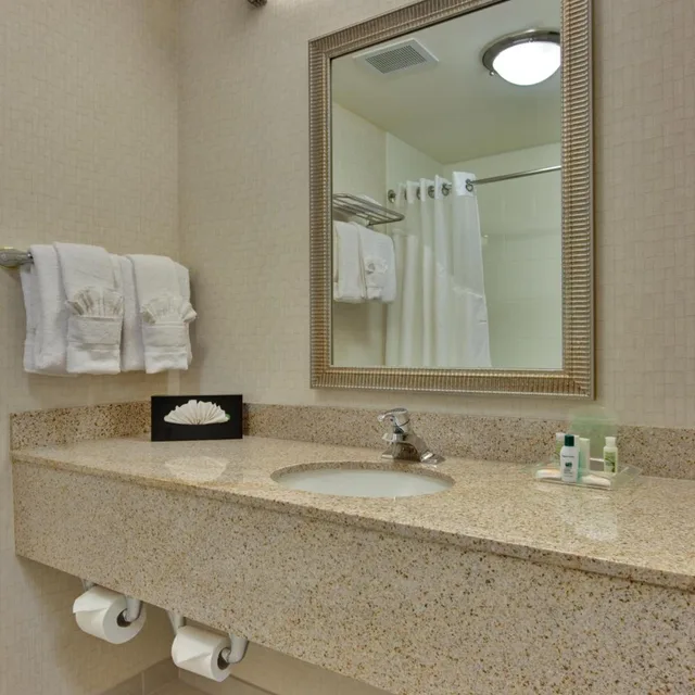 جناح تنفيذي بسرير كينج، Holiday Inn Hotel Amp Suites Bakersfield North 6/8