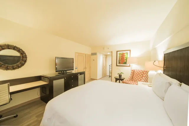 غرفة بريميوم بسرير فردي، InterContinental San Salvador-Metrocentro Mall 3/4