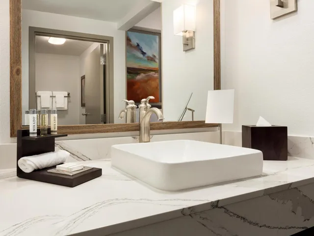 جناح بسرير كينج، Buena Vista Suites 5/5