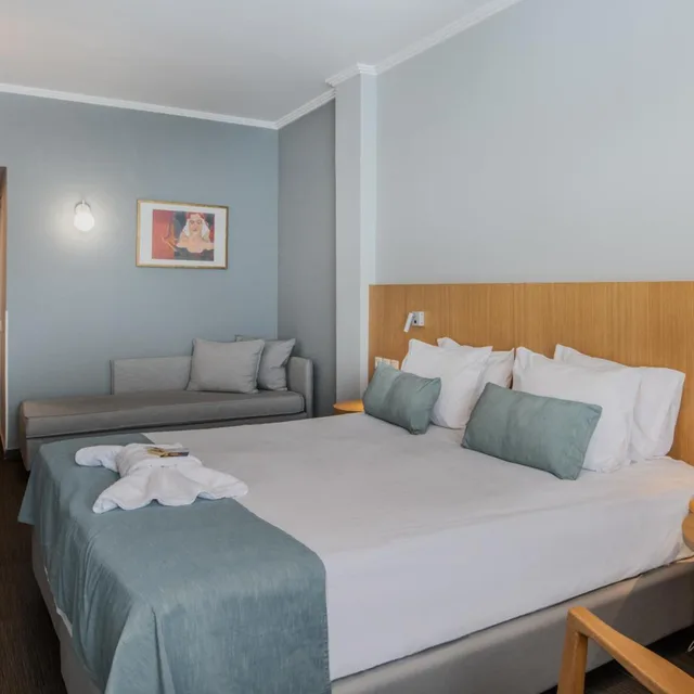 غرفة تنفيذية بسرير مزدوج، Capsis Hotel Thessaloniki 5/10