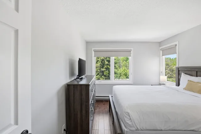 Green, King and Queen and Twin Beds, Pet Friendly، The Lodges At Blue Mountain Wintergreen Condos 3/10
