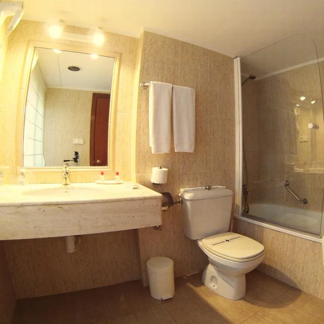 غرفة بسرير مزدوج، Hotel Avenida Plaza 9/10