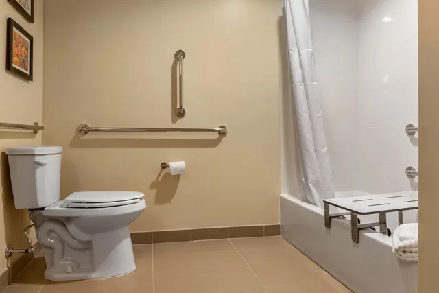 Efficiency, Suite, King Bed, Accessible, Comfort Inn & Suites Gap Amish Country 6/6