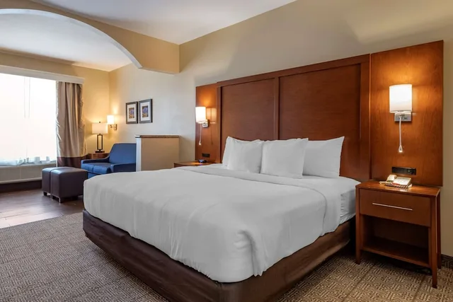 جناح بسرير كينج مع أريكة، Comfort Suites Houston near Medical Center- NRG Stadium 3/4