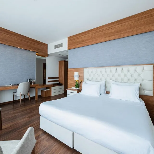 جناح تنفيذي، Parion Hotel 2/7