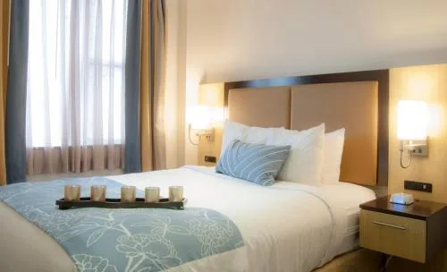 غرفة قياسية، Madison LES Hotel 1/1