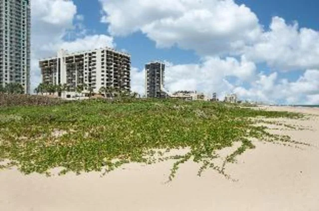 Sand, Premium, 2 Queen Beds, Ocean View، Margaritaville Beach Resort - South Padre Island 1/2