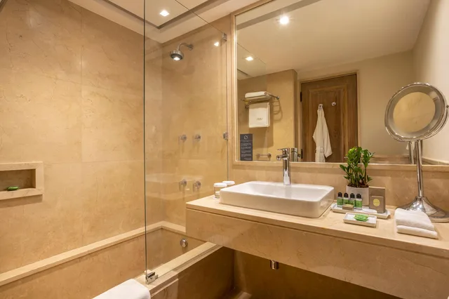 غرفة قياسية بإطلالة، L Hotel PortoBay Sao Paulo 3/3