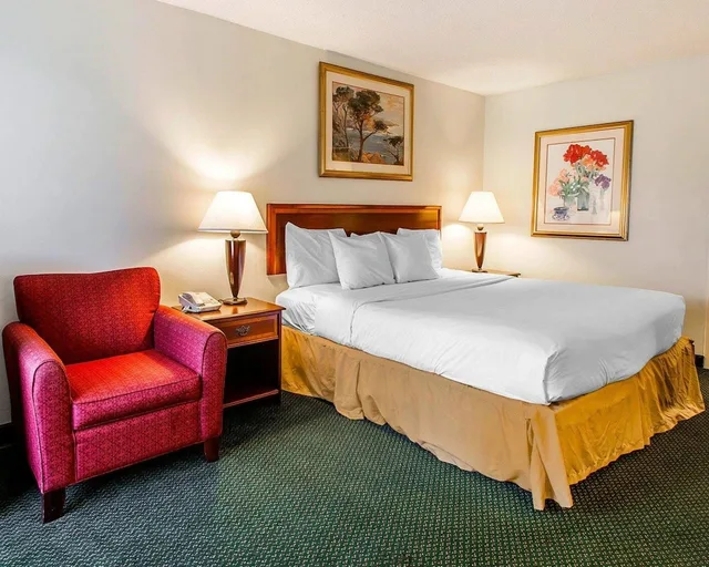غرفة قياسية بسرير كينج، Clarion Inn & Suites Dothan South 2/2