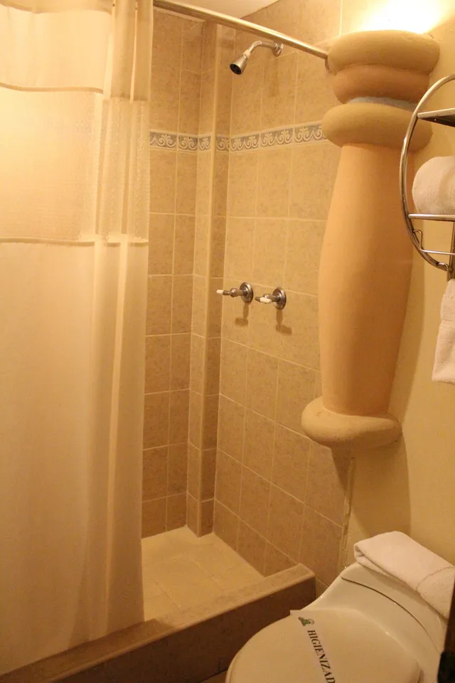 غرفة قياسية بسرير كوين، Boutique Hotel La Cordillera 7/8